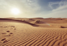 Freitagsansprache: Der vergessene Monotheismus – Teil 2: Die Religion von Abraham