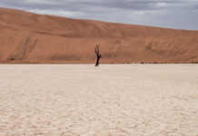 Freitagsansprache: Suche die Wahrheit und warte nicht auf andere