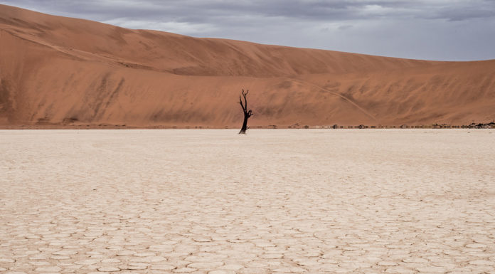 Freitagsansprache: Suche die Wahrheit und warte nicht auf andere