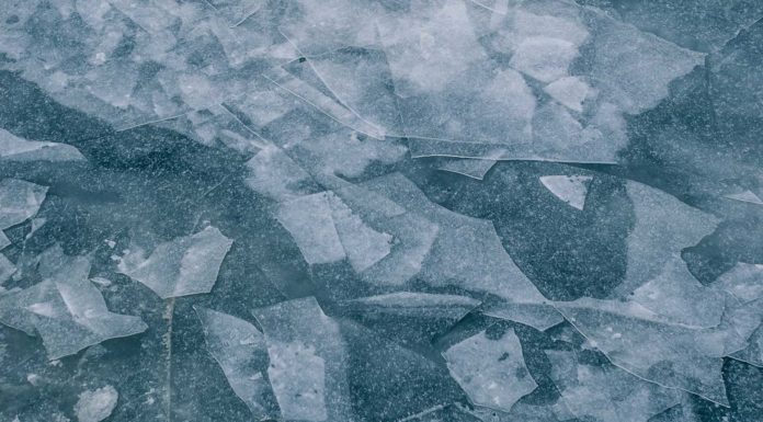 Freitagsansprache: Das viele Reden und Lachen