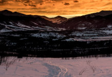 Freitagsansprache: Die richtige und die falsche Methode bei der Suche nach der Wahrheit