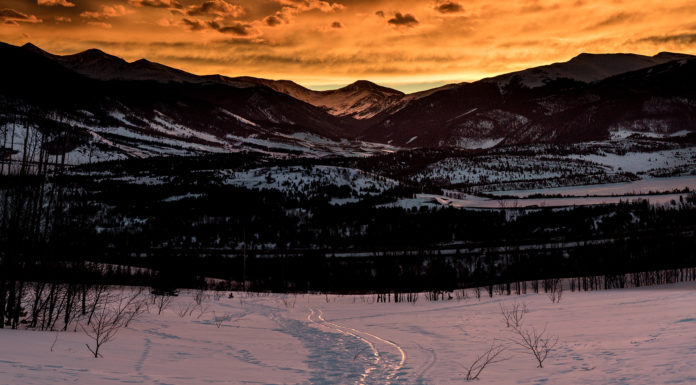 Freitagsansprache: Die richtige und die falsche Methode bei der Suche nach der Wahrheit