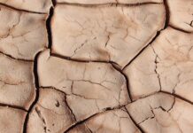 Freitagsansprache: Dem kranken Herzen nutzt die Ermahnung nicht