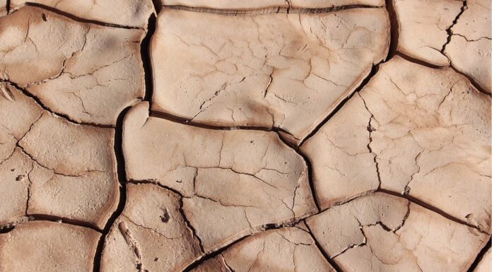 Freitagsansprache: Dem kranken Herzen nutzt die Ermahnung nicht