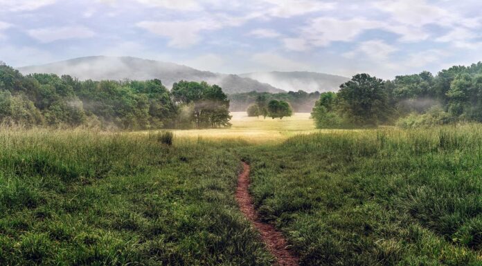 Freitagsansprache: Die Imāmah – Vorbild im Dīn