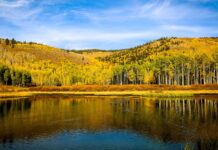 Freitagsansprache: Toleranz bei Meinungsunterschieden – Die schlechte Vermutung