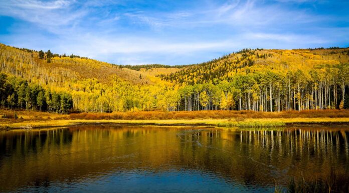 Freitagsansprache: Toleranz bei Meinungsunterschieden – Die schlechte Vermutung