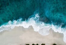 Freitagsansprache: Die gute Behandlung der Frauen und Kinder