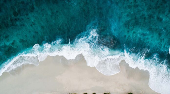 Freitagsansprache: Die gute Behandlung der Frauen und Kinder